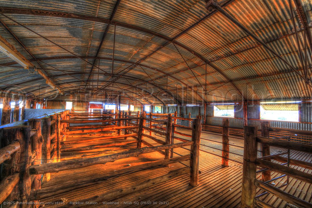 Peter Bellingham Photography Bucklow Station - Woolshed - NSW SQ (PB5D 00 2631)